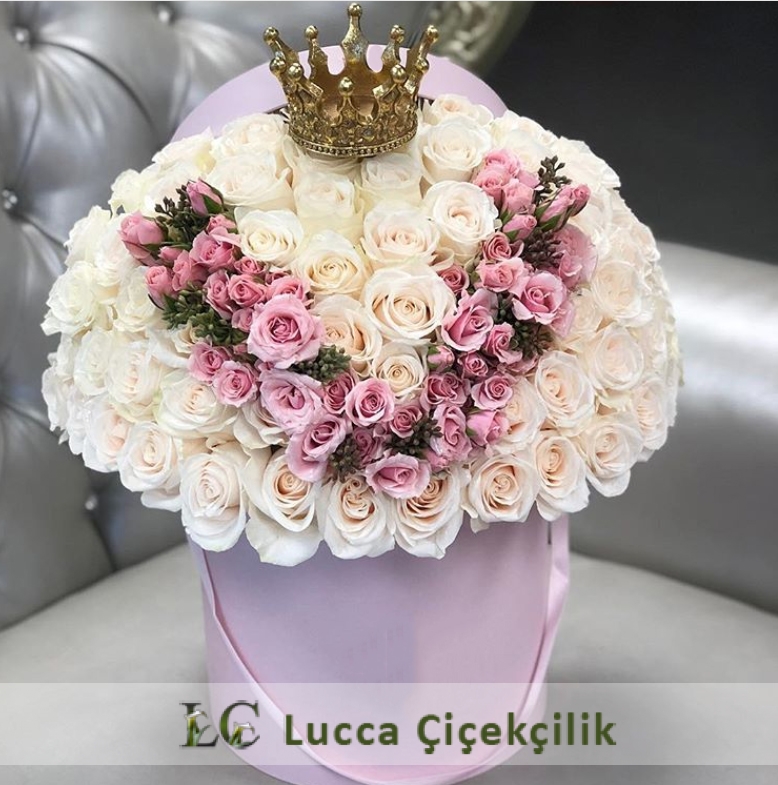 PRENSES VİP KUTU