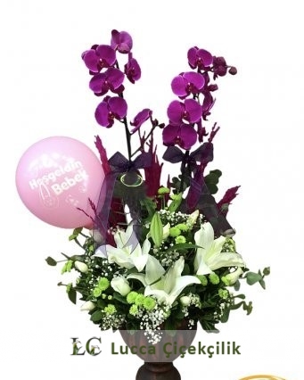 VİP HOŞGELDİN BEBEK