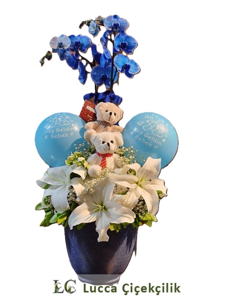 VİP HOŞGELDİN BEBEK