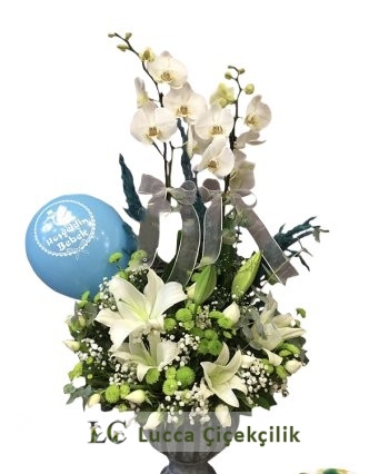 VİP HOŞGELDİN BEBEK