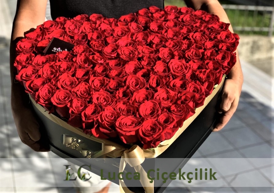 KALBİMDE KIRMIZI GÜLLER