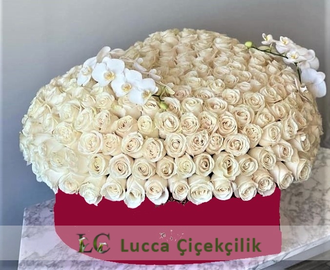 VIP BEYAZ GÜLLER