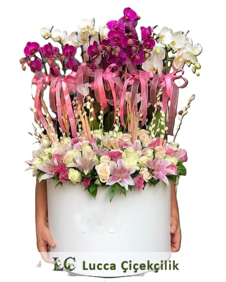 MUHTEŞEM ORKİDE BAHÇESİ