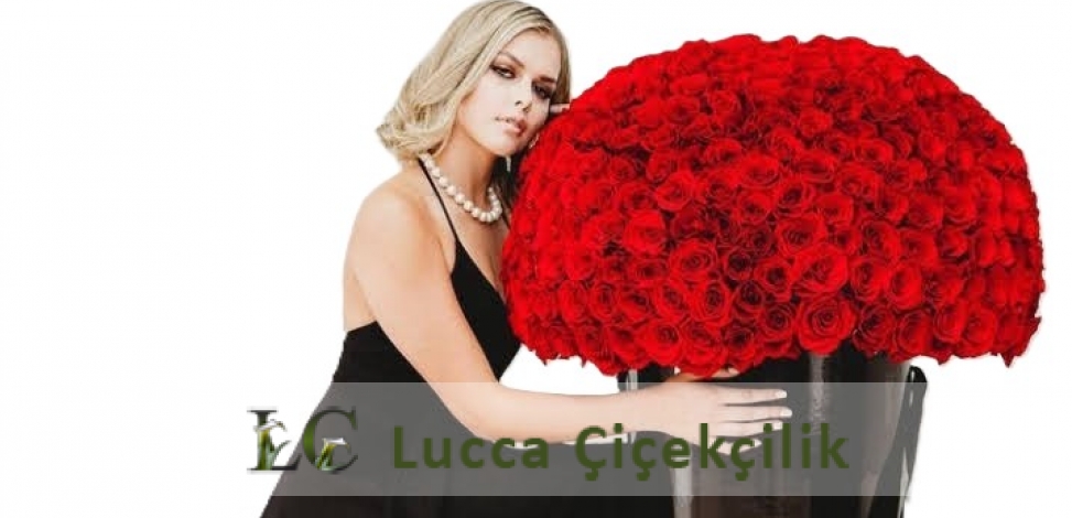 https://www.luccacicek.com.tr/