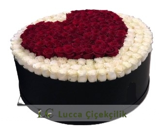 KIRMIZI KALP GÜLLER