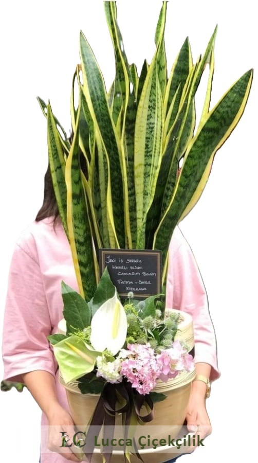 KURUMSAL ÇİÇEKLER