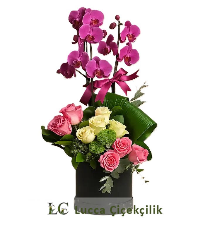 MOR ORKİDELİ ARANJMAN