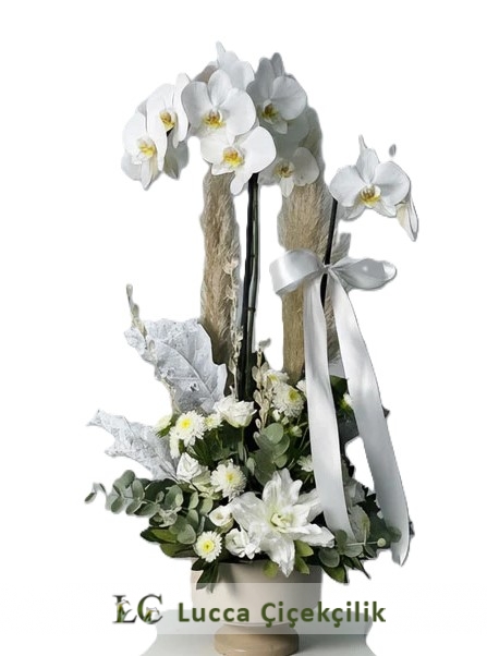 BEYAZ ORKİDE ARANJMANI