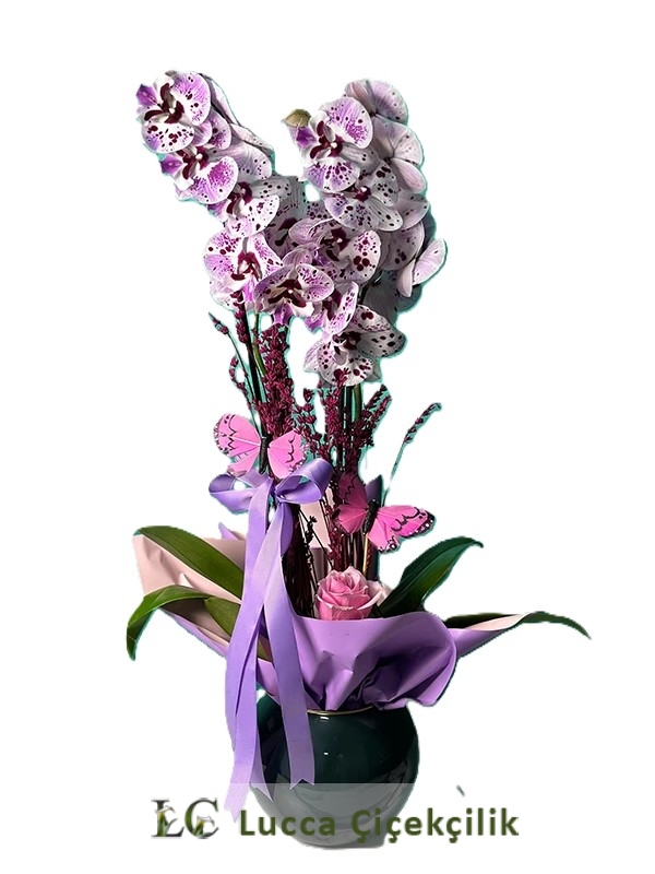 KELEBEKLİ MOR ORKİDEM