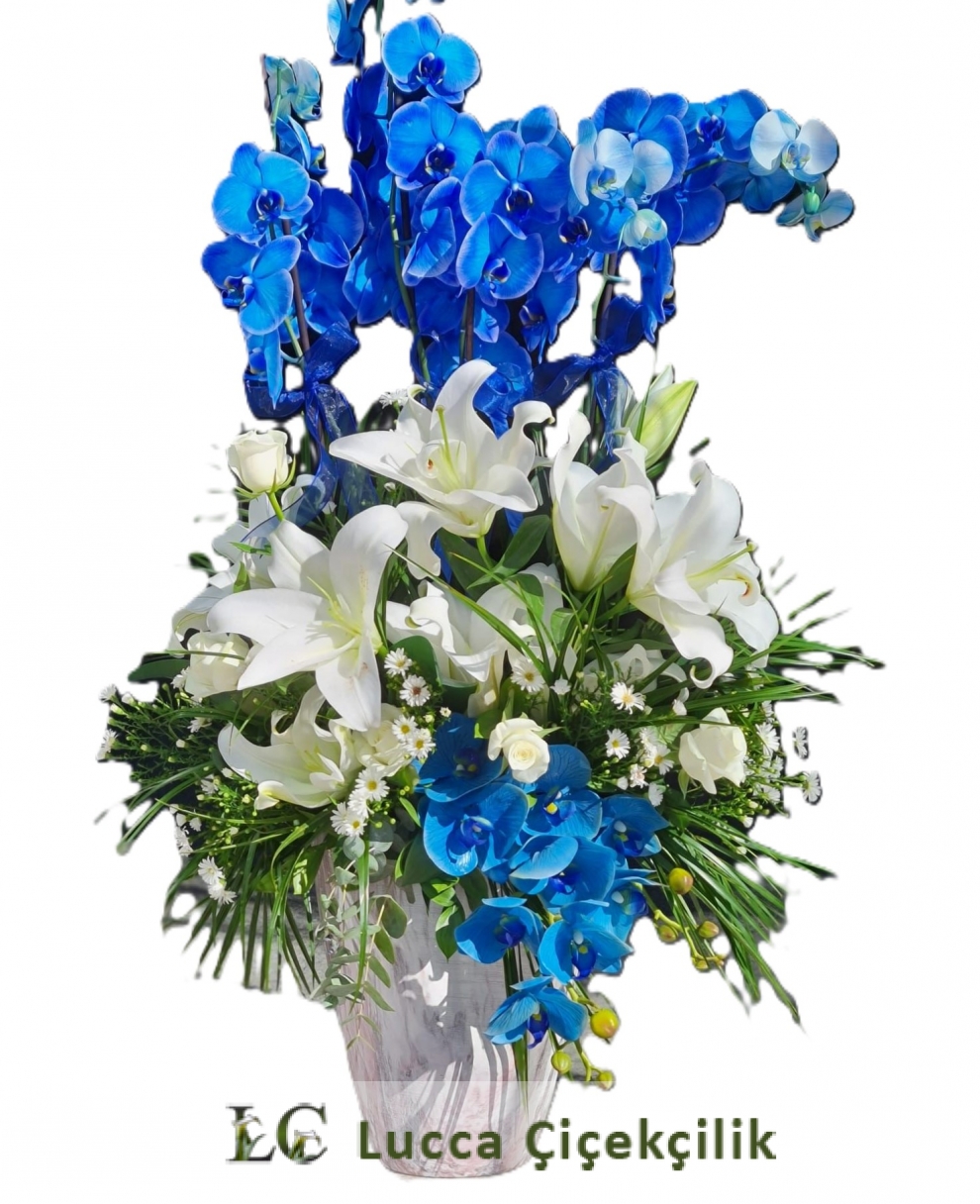 MAVİ ORKİDE BAHÇESİ