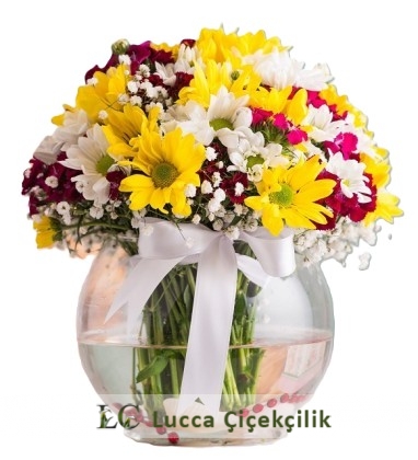 FANUSTA BAHAR ÇİÇEKLERİ