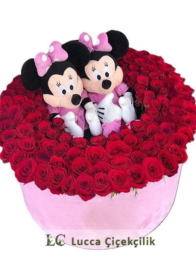 minie mouse güller