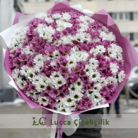 BÜYÜK PAPATYA BUKETİM