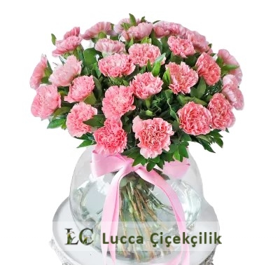 PEMBE KARANNFİL VAZOSU