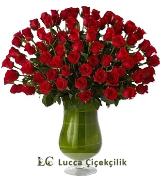 KIRMIZI GÜL VAZOSU