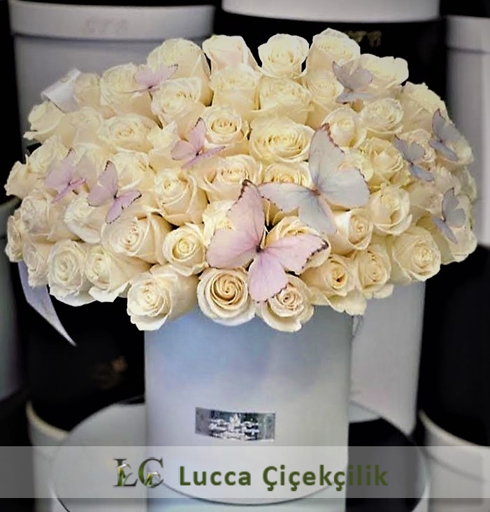 KUTUDA GÜLLER VE KELEBEKLER