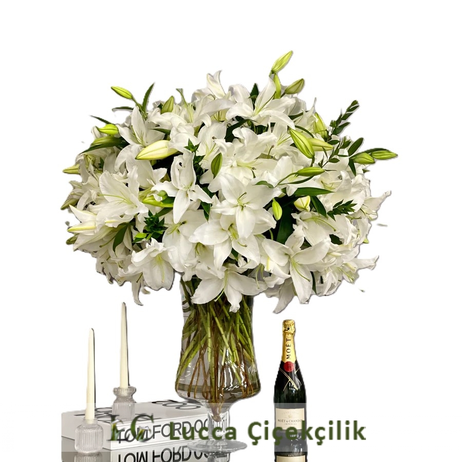 MOET ŞAMPANYA VE LİLYUMLAR