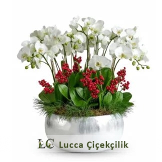 HOŞGELDİN YENİ YIL