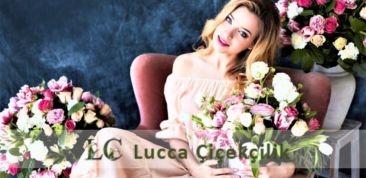 https://www.luccacicek.com.tr/