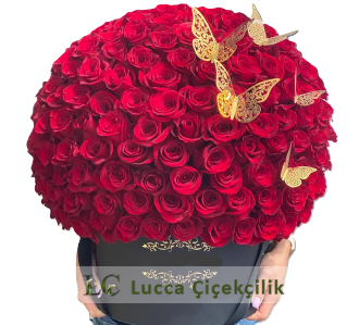 101 VİP KELEBEKLİ KUTU