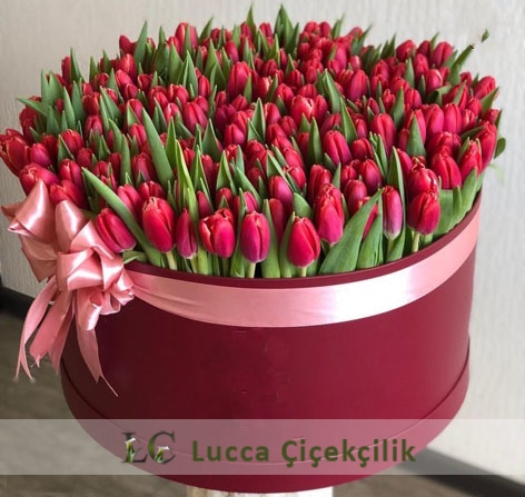 101 KIRMIZI LALE KUTUSU