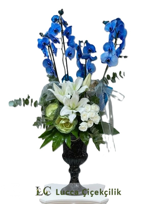 MAVİ ORKİDE ARANJMANI