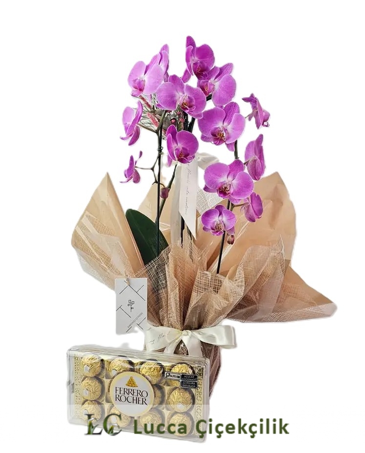 FERRARO ÇİKOLATA VE ORKİDE