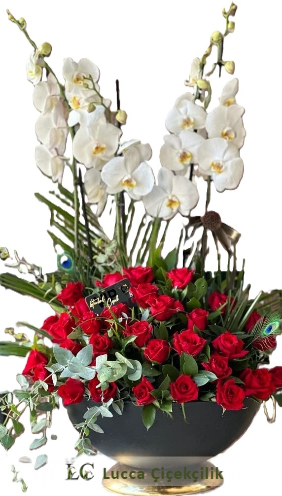 VİP ORKİDE BAHÇESİ