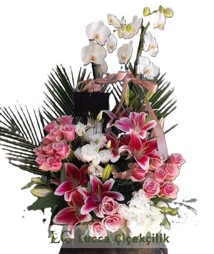  BEYAZ ORKİDE BAHÇESİ