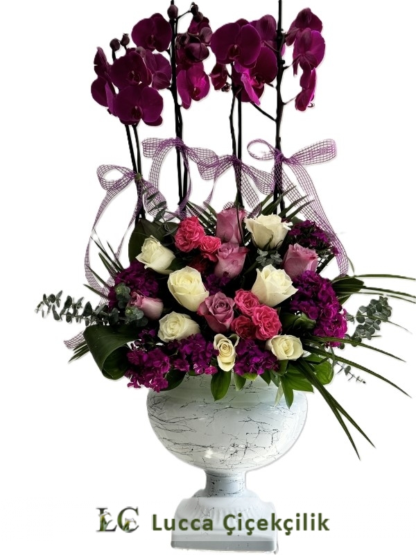 VİP ORKİDE ARANJMANI