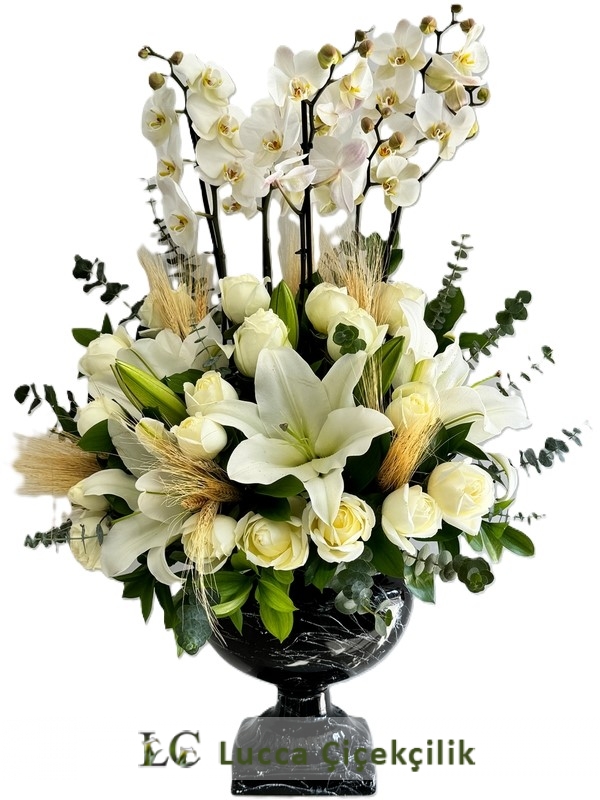 VİP ORKİDE BAHÇESİ