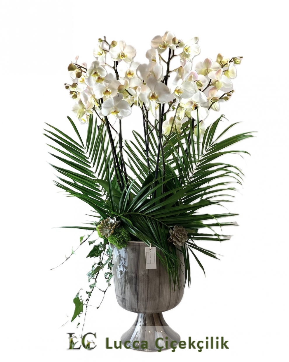 VİP ORKİDE BAHÇESİ