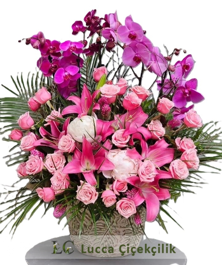  VİP ARANJMANLI ORKİDE