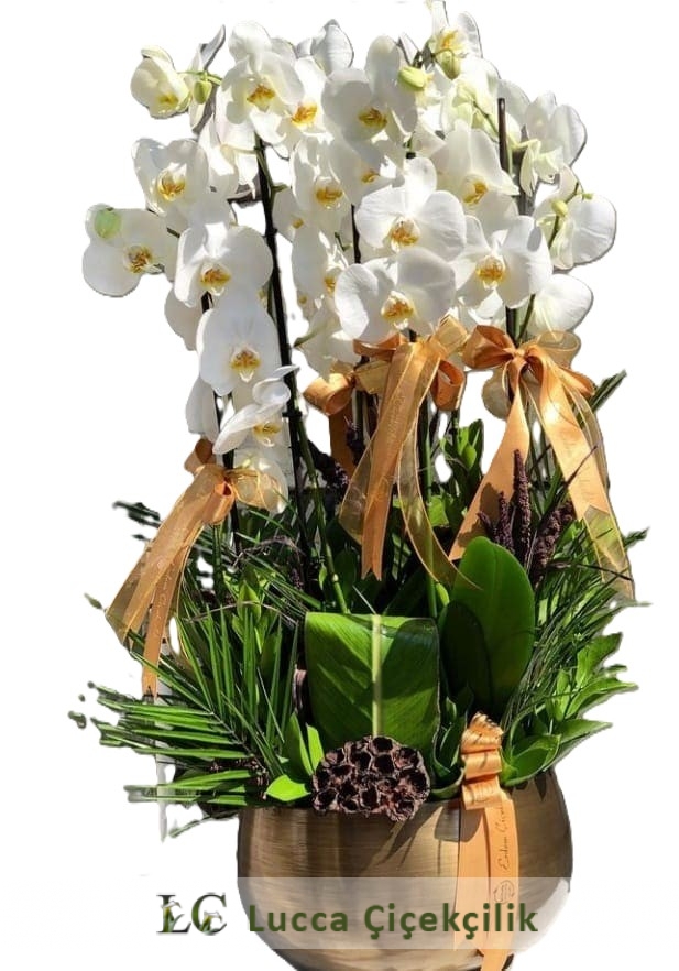 VİP ORKİDE BAHÇESİ