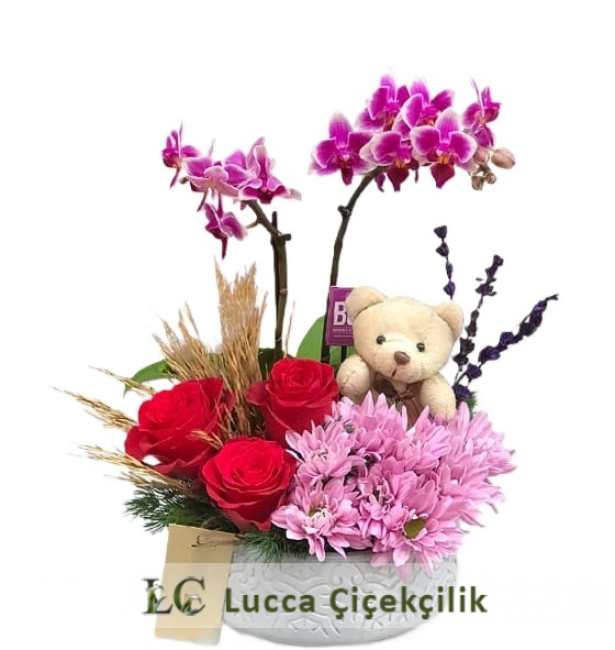 SEVİMLİ MİNİ ORKİDEM