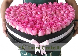 KALP KUTUDA 101 PEMBE GÜLLER